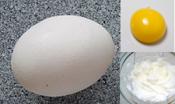 An Eggcellent Method Of Separation